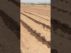 شريط الري بالتنقيط